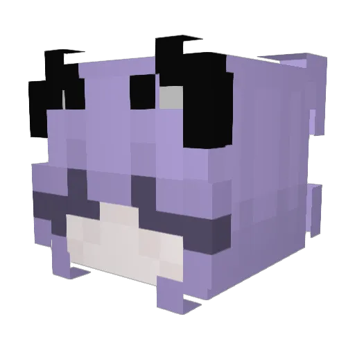 Sleepwinter Minecraft avatar head, 3D render