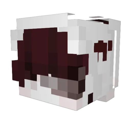 Sleepy0_4 Minecraft avatar head, 3D render
