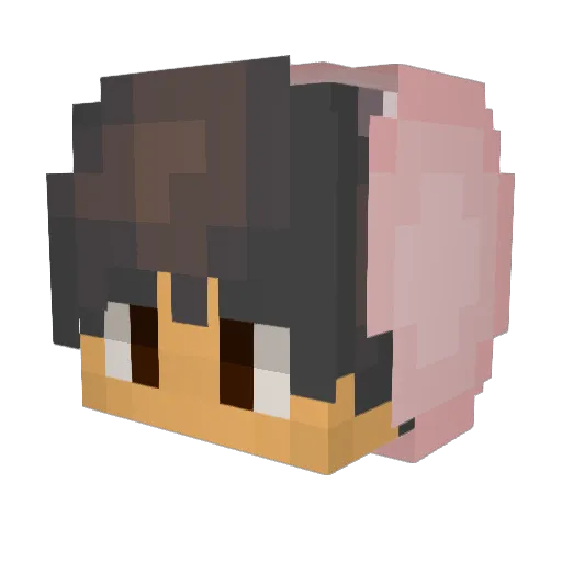 Sleepy213 Minecraft avatar head, 3D render