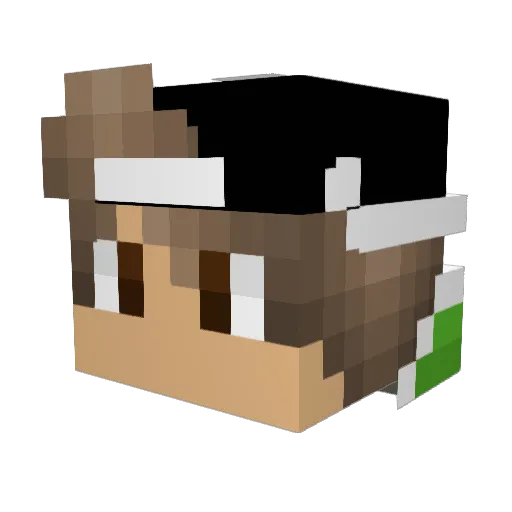 Sleepy2309 Minecraft avatar head, 3D render