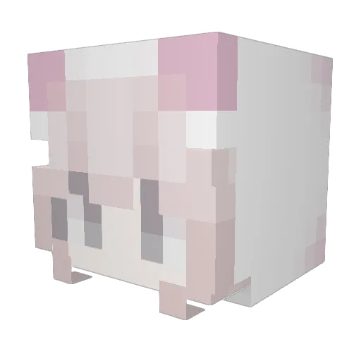 SleepyBear305 Minecraft avatar head, 3D render