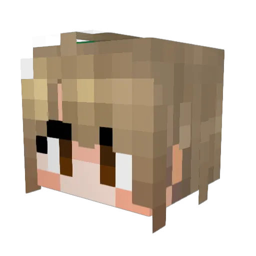 SleepyBear47 Minecraft avatar head, 3D render