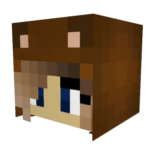 SleepyBearx Minecraft avatar head, 3D render