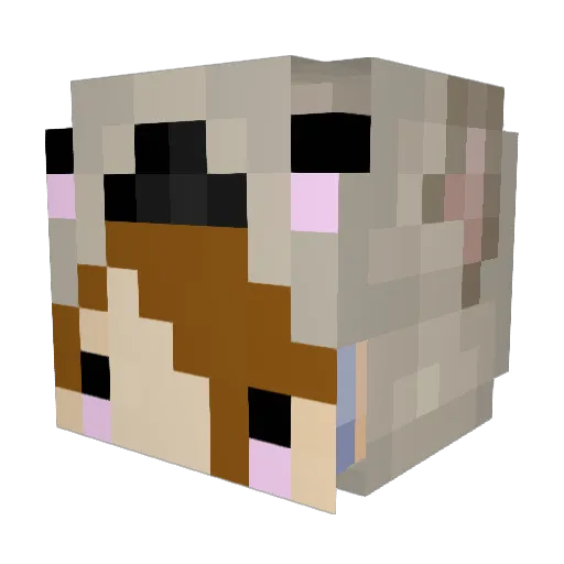 SleepyBlackjack Minecraft avatar head, 3D render