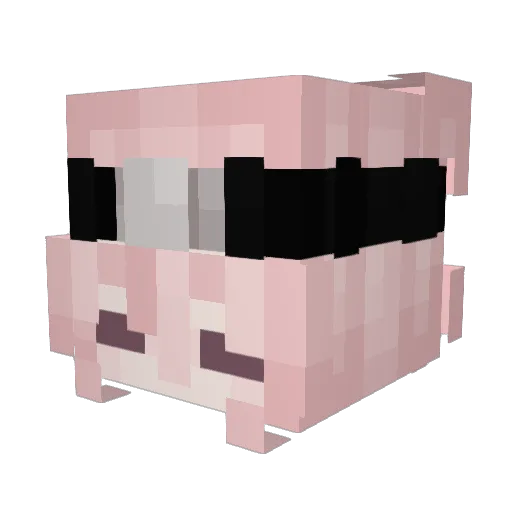 SleepyCat417 Minecraft avatar head, 3D render