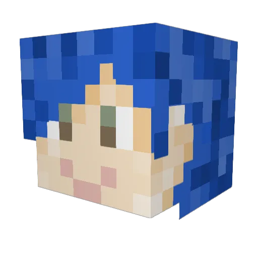 SleepyCatdragon Minecraft avatar head, 3D render