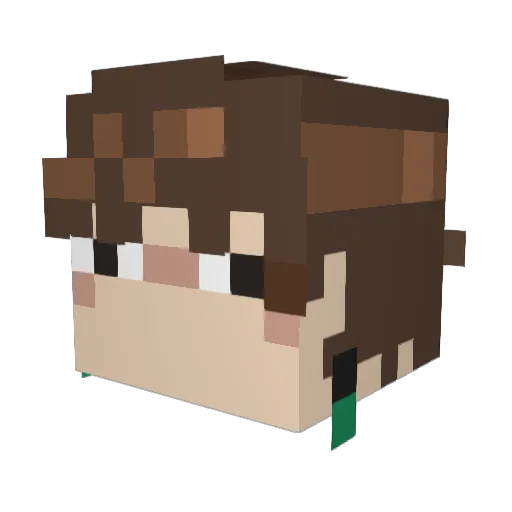 SleepyCompany Minecraft avatar head, 3D render