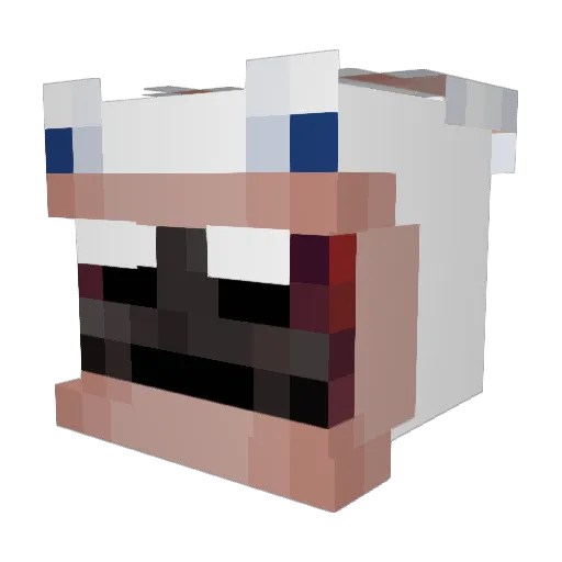 SleepyDaSlowBOI Minecraft avatar head, 3D render