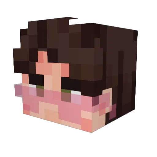 SleepyDoggo04 Minecraft avatar head, 3D render