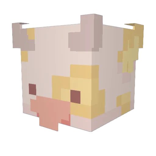 SleepyDoor Minecraft avatar head, 3D render