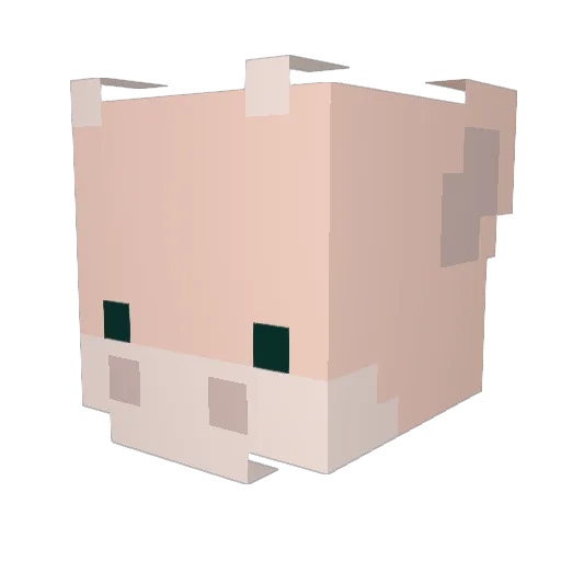 SleepyDragon2001 Minecraft avatar head, 3D render
