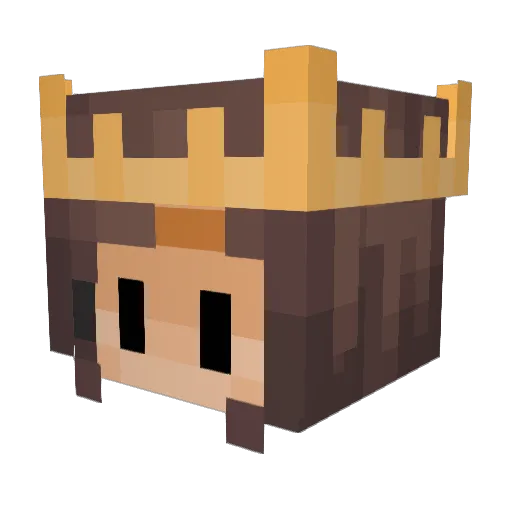 SleepyFoox Minecraft avatar head, 3D render