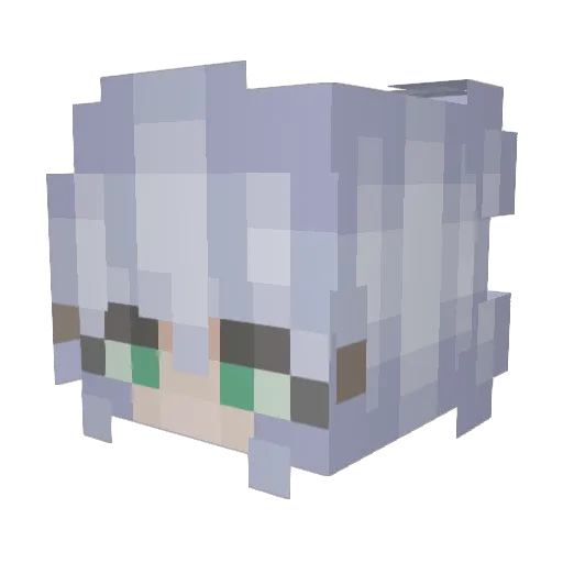SleepyFox3100 Minecraft avatar head, 3D render