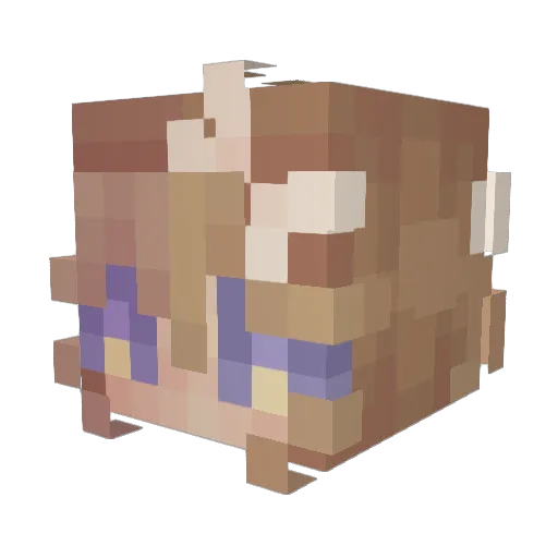 SleepyGum Minecraft avatar head, 3D render