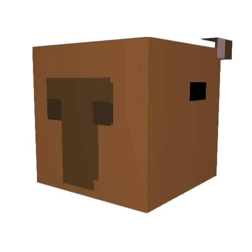 SleepyIdz Minecraft avatar head, 3D render