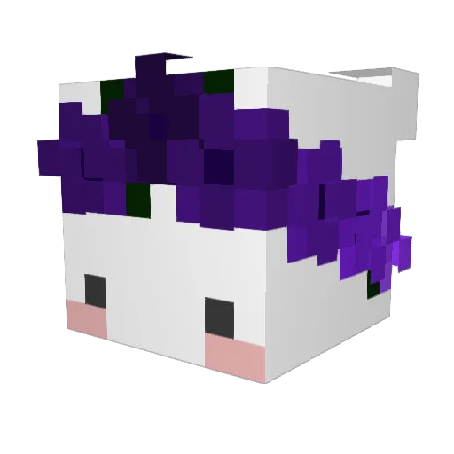 SleepyKoda Minecraft avatar head, 3D render