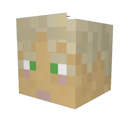 SleepyKoya Minecraft avatar head, 3D render