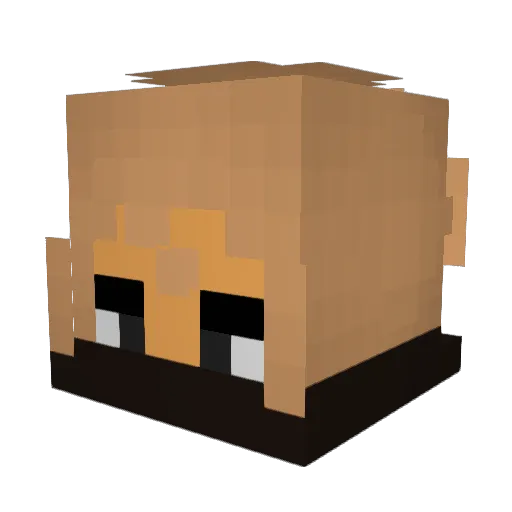 SleepyMaybe06 Minecraft avatar head, 3D render