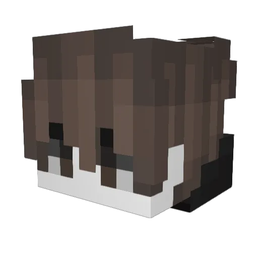 SleepyMinor Minecraft avatar head, 3D render