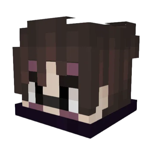 SleepyNickel8 Minecraft avatar head, 3D render
