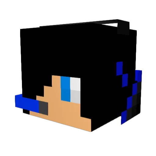SleepyNinja457 Minecraft avatar head, 3D render