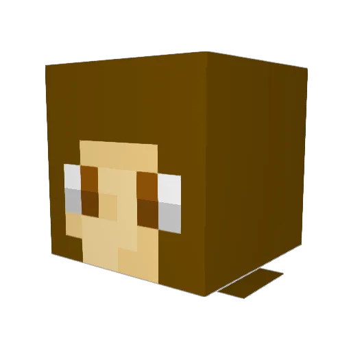 SleepyOwls Minecraft avatar head, 3D render