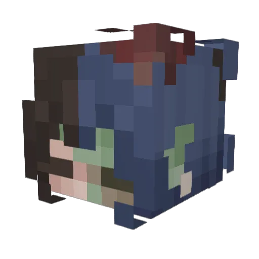 SleepyRaee Minecraft avatar head, 3D render