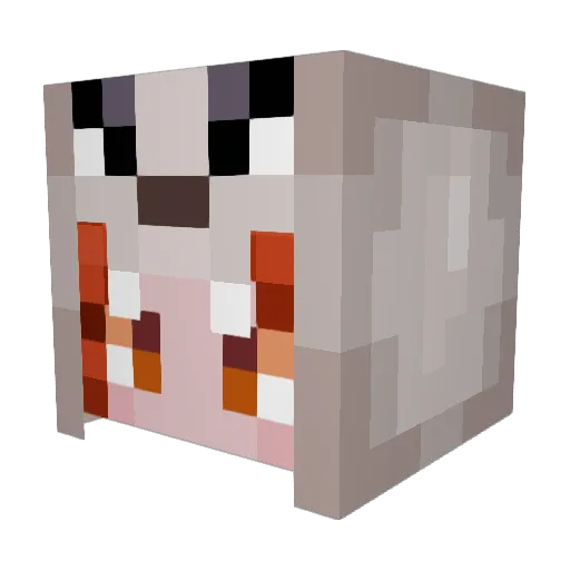 SleepyRaelu Minecraft avatar head, 3D render