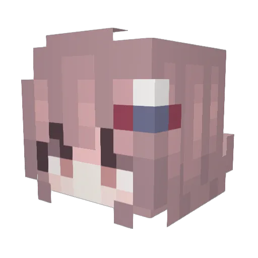 SleepyRaiju Minecraft avatar head, 3D render