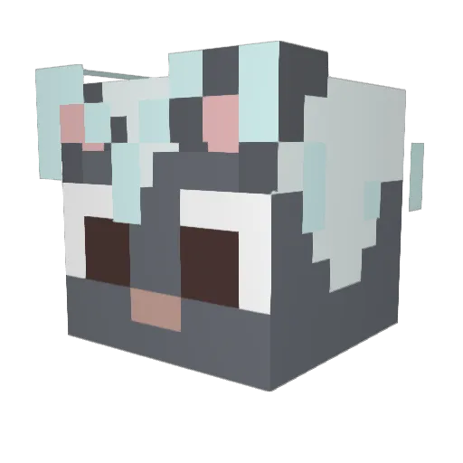 SleepyRoosa Minecraft avatar head, 3D render