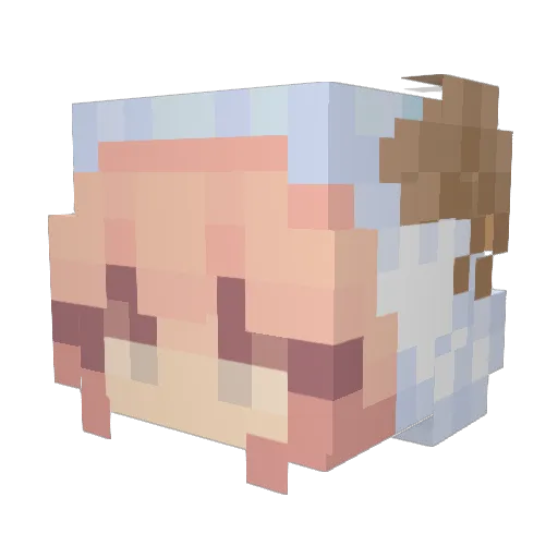 SleepySheepy_ Minecraft avatar head, 3D render