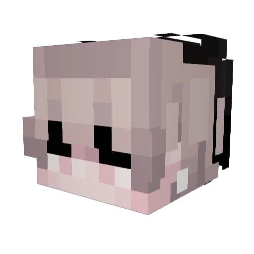 SleepyWarden1 Minecraft avatar head, 3D render