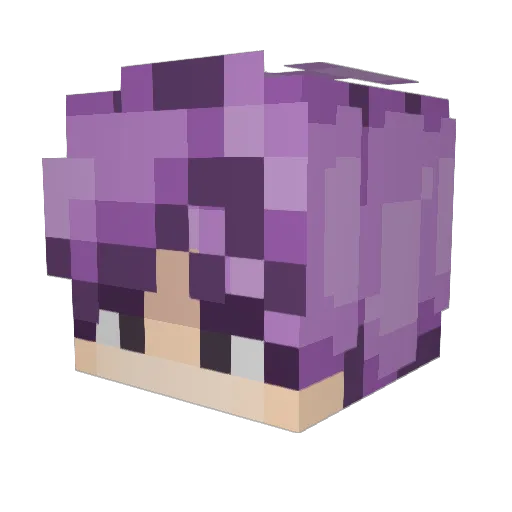 SleepyWolf12 Minecraft avatar head, 3D render