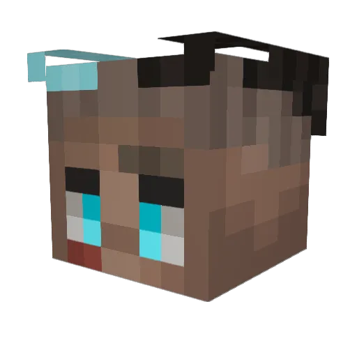 SleepyWu Minecraft avatar head, 3D render