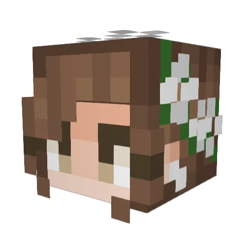 Sleepy_Alpaca Minecraft avatar head, 3D render