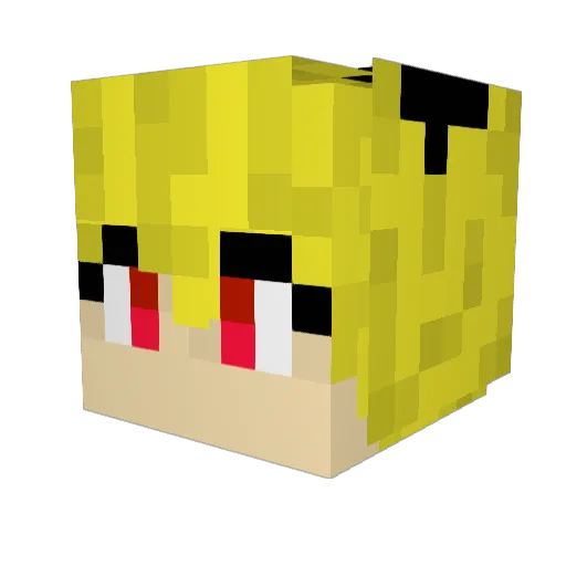 Sleepy_Anarchy Minecraft avatar head, 3D render