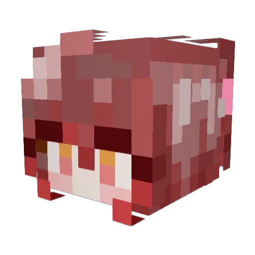 Sleepy_Ann078 Minecraft avatar head, 3D render