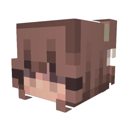 Sleepy_Axolotl_ Minecraft avatar head, 3D render