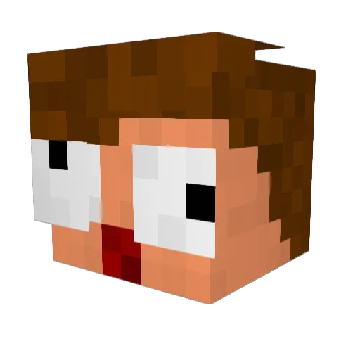 Sleepy_Boyyy Minecraft avatar head, 3D render