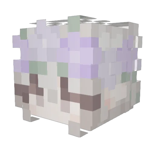 Sleepy_Bugs Minecraft avatar head, 3D render