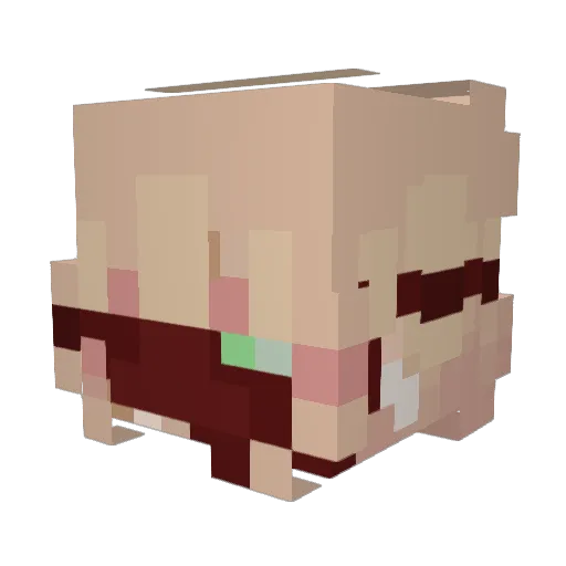 Sleepy_Ivory Minecraft avatar head, 3D render