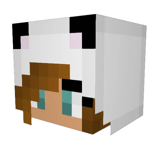 Sleepy_Jlullaby Minecraft avatar head, 3D render