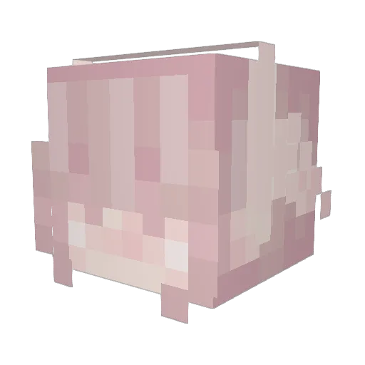 Sleepy_Lizzie Minecraft avatar head, 3D render