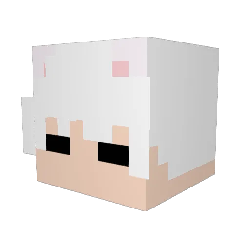 Sleepy_Man233 Minecraft avatar head, 3D render