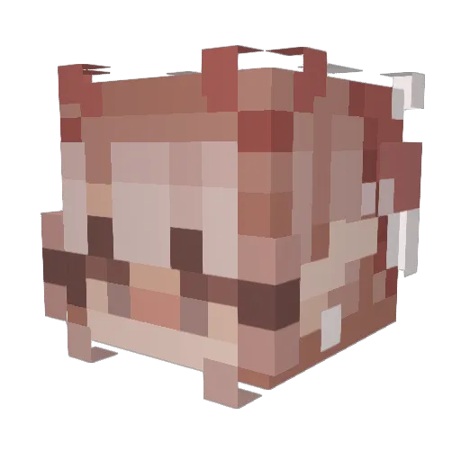Sleepy_Sinly Minecraft avatar head, 3D render
