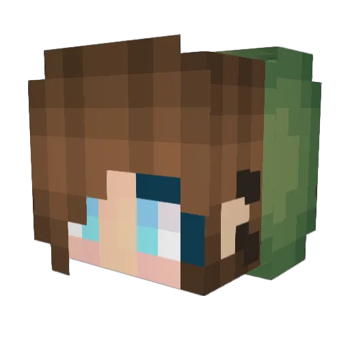Sleepy__Sheep Minecraft avatar head, 3D render