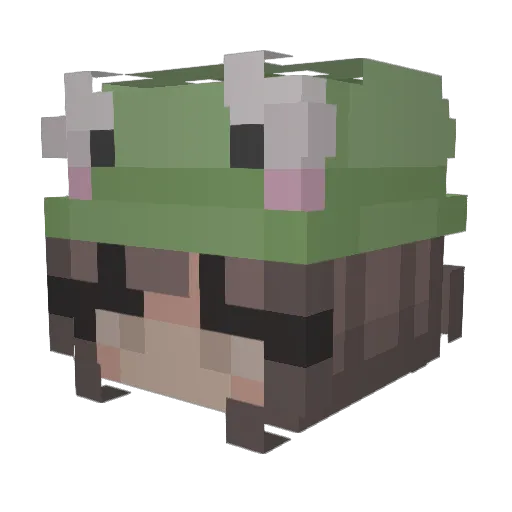 Sleepybun2244 Minecraft avatar head, 3D render