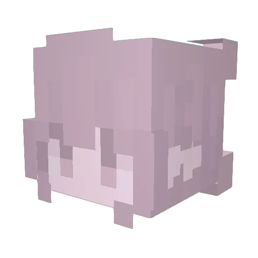 Sleepycyra Minecraft avatar head, 3D render