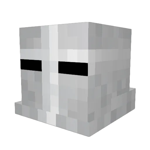 Sleepyj0ee Minecraft avatar head, 3D render
