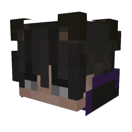 Sleepyjag Minecraft avatar head, 3D render
